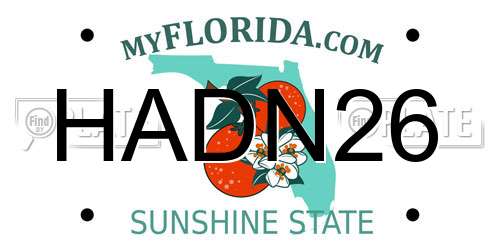 HADN26 Florida License Plate