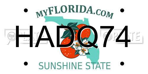 HADQ74 Florida License Plate