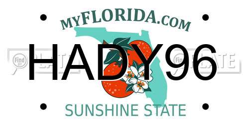 HADY96 Florida License Plate