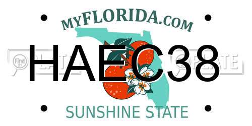 HAEC38 Florida License Plate
