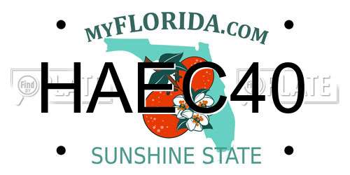 HAEC40 Florida License Plate