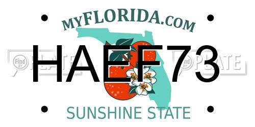HAEF73 Florida License Plate