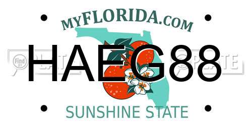 HAEG88 Florida License Plate