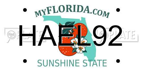 HAEL92 Florida License Plate
