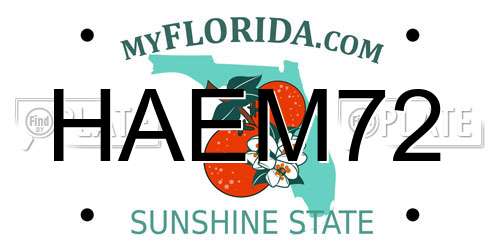 HAEM72 Florida License Plate