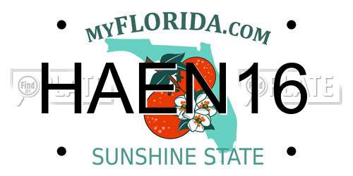 HAEN16 Florida License Plate