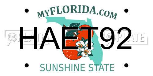 HAET92 Florida License Plate