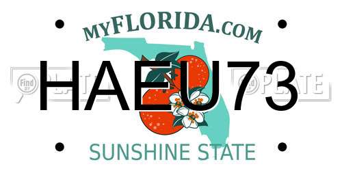 HAEU73 Florida License Plate