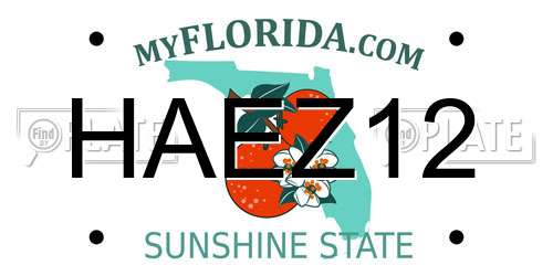 HAEZ12 Florida License Plate