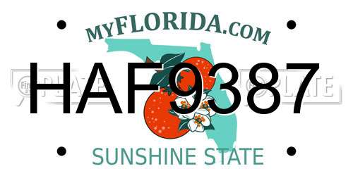HAF9387 Florida License Plate