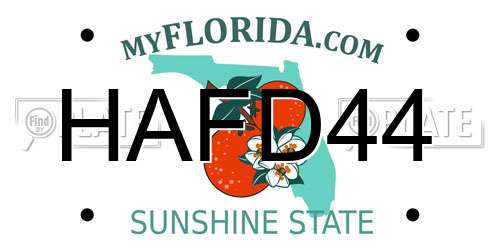 HAFD44 Florida License Plate