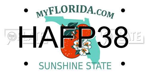 HAFP38 Florida License Plate