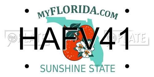 HAFV41 Florida License Plate