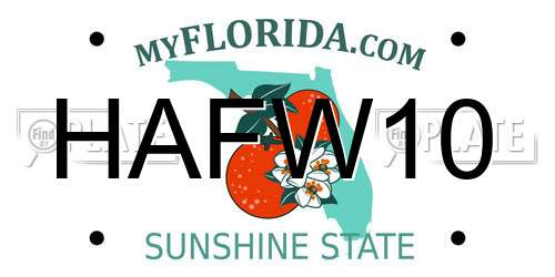 HAFW10 Florida License Plate