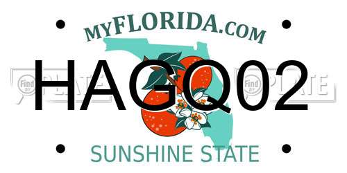 HAGQ02 Florida License Plate