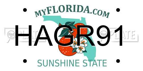 HAGR91 Florida License Plate