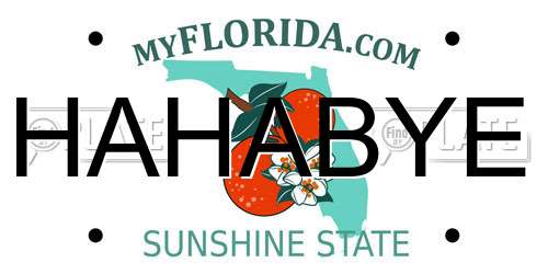 HAHABYE Florida License Plate