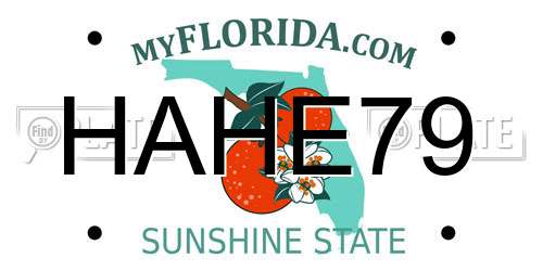 HAHE79 Florida License Plate