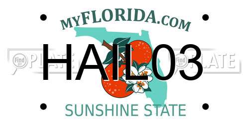 HAIL03 Florida License Plate