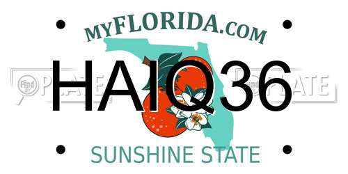 HAIQ36 Florida License Plate