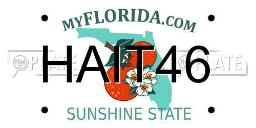 HAIT46 Florida License Plate