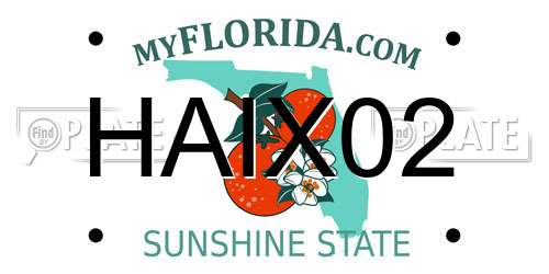HAIX02 Florida License Plate