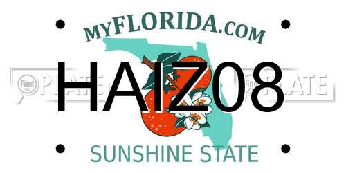 HAIZ08 Florida License Plate