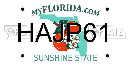 HAJP61 Florida License Plate