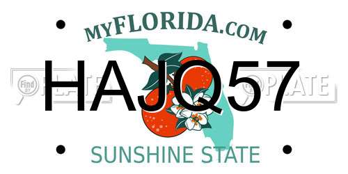 HAJQ57 Florida License Plate