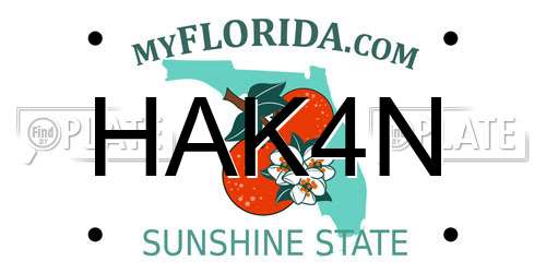 HAK4N Florida License Plate