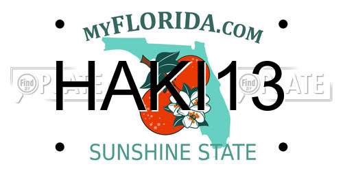 HAKI13 Florida License Plate