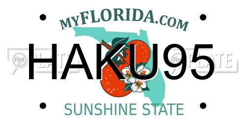 HAKU95 Florida License Plate