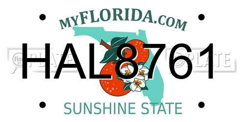 HAL8761 Florida License Plate