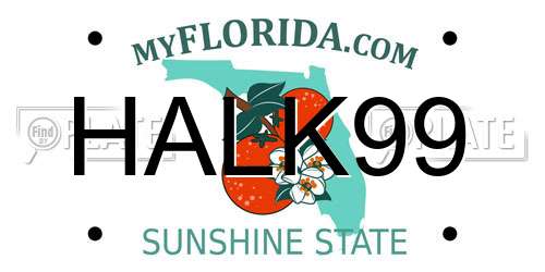 HALK99 Florida License Plate