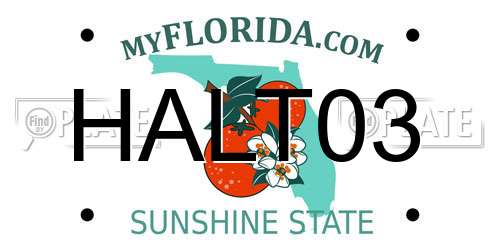 HALT03 Florida License Plate