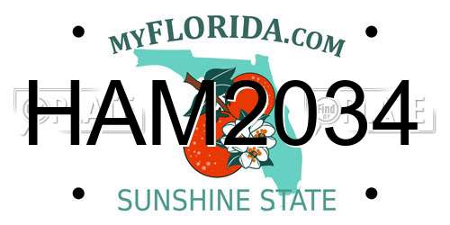 HAM2034 Florida License Plate