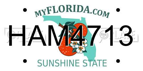 HAM4713 Florida License Plate