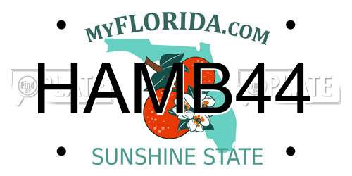 HAMB44 Florida License Plate