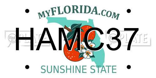 HAMC37 Florida License Plate