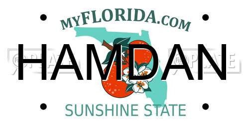 HAMDAN Florida License Plate