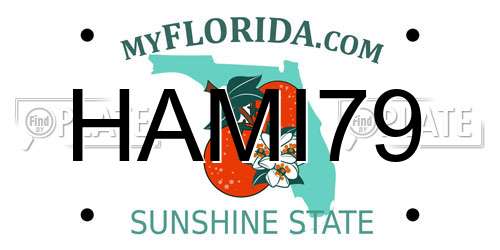 HAMI79 Florida License Plate