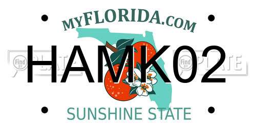 HAMK02 Florida License Plate