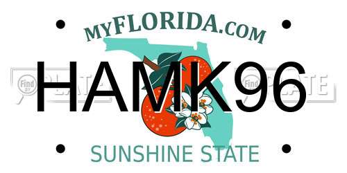 HAMK96 Florida License Plate