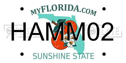 HAMM02 Florida License Plate