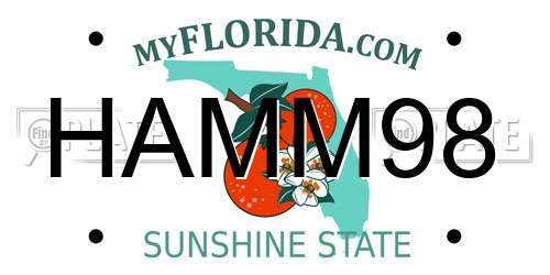 HAMM98 Florida License Plate