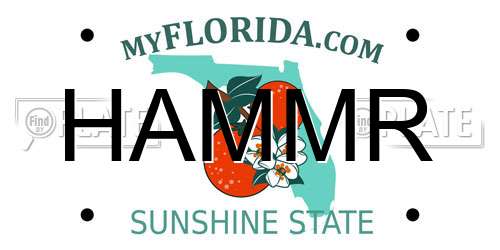 HAMMR Florida License Plate