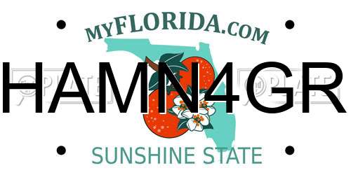 HAMN4GR Florida License Plate