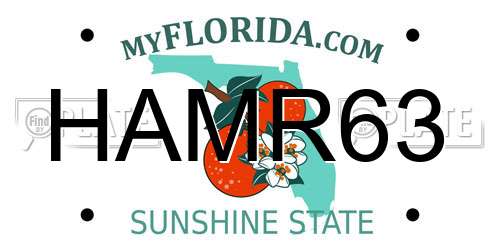 HAMR63 Florida License Plate