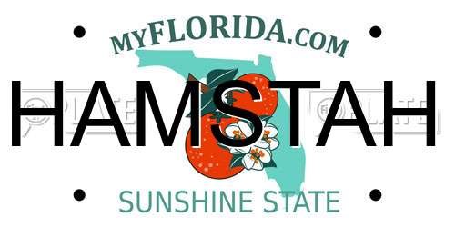 HAMSTAH Florida License Plate