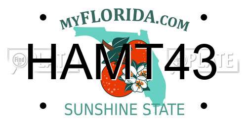 HAMT43 Florida License Plate